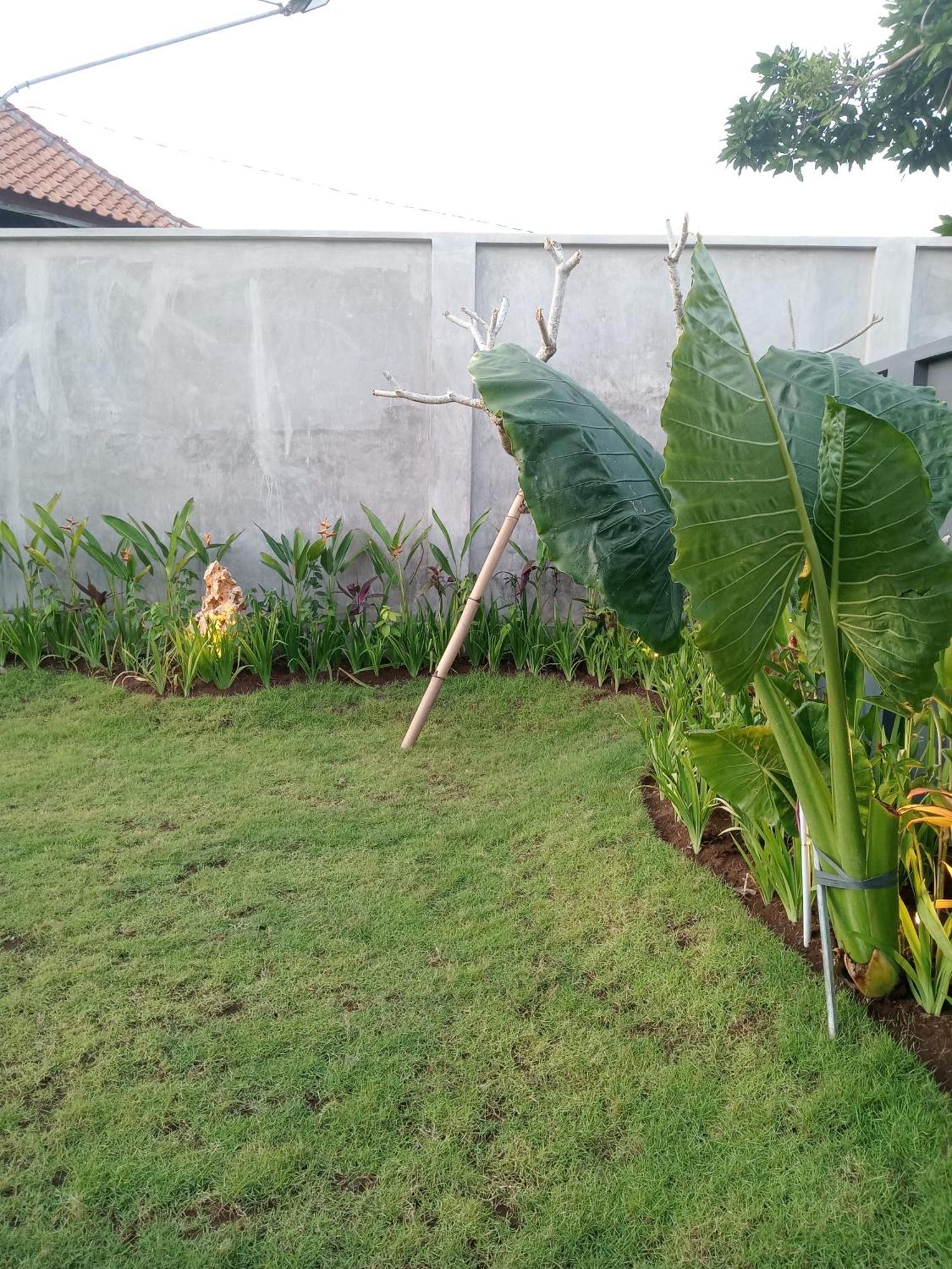 Parama Homestay Balangan Uluwatu  Luaran gambar