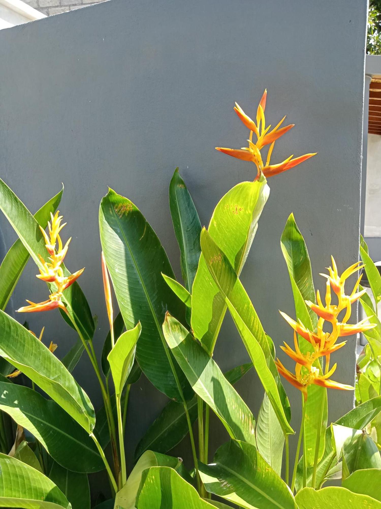 Parama Homestay Balangan Uluwatu  Luaran gambar